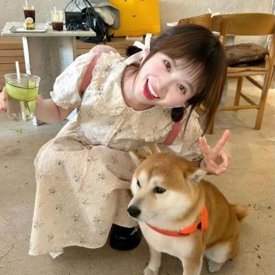 女人的碎片
