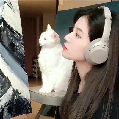 涉谷来接你了